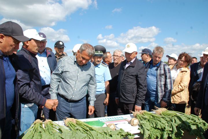 Рустам Минниханов: «Радуют позитивные результаты заинцев в растениеводстве»