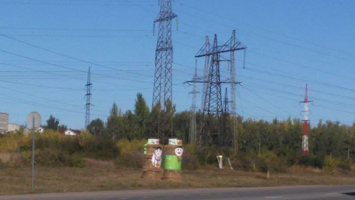 Заинскую трассу облюбовали соломенные фигуры