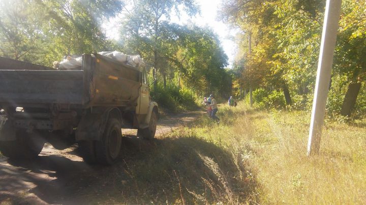 Заинск присоединился к республиканской акции «Чистые леса Татарстана»