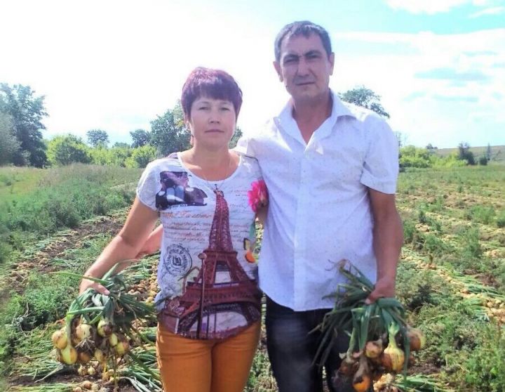 Фермеры Шайгардановы: «Земля – главная кормилица»