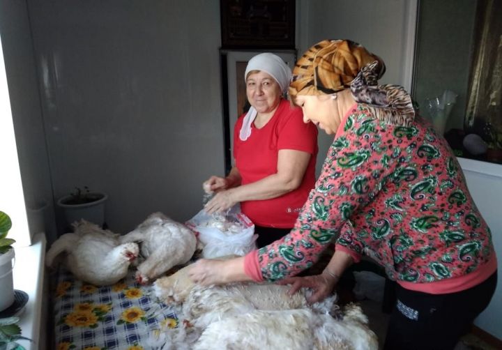 В заинских селах проходит праздник "Каз омэсе" - "Гусиное перо"
