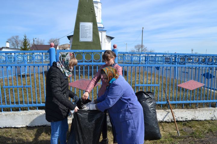 Сотрудники заинского музея провели акцию «Чистый памятник»