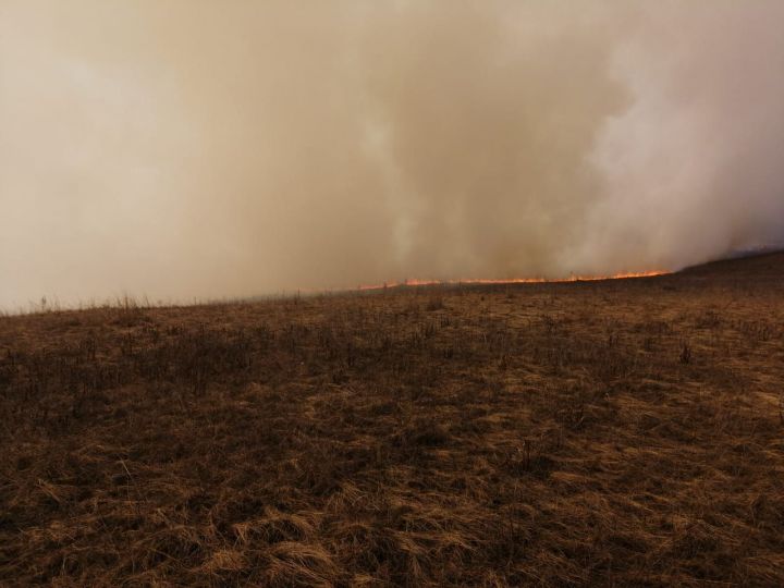 Трава, "оголяющая город": в Заинском районе полыхали "травяные" пожары