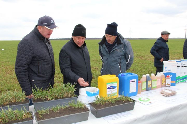 Министр сельского хозяйства и продовольствия Татарстана дал высокую оценку работе заинских аграриев