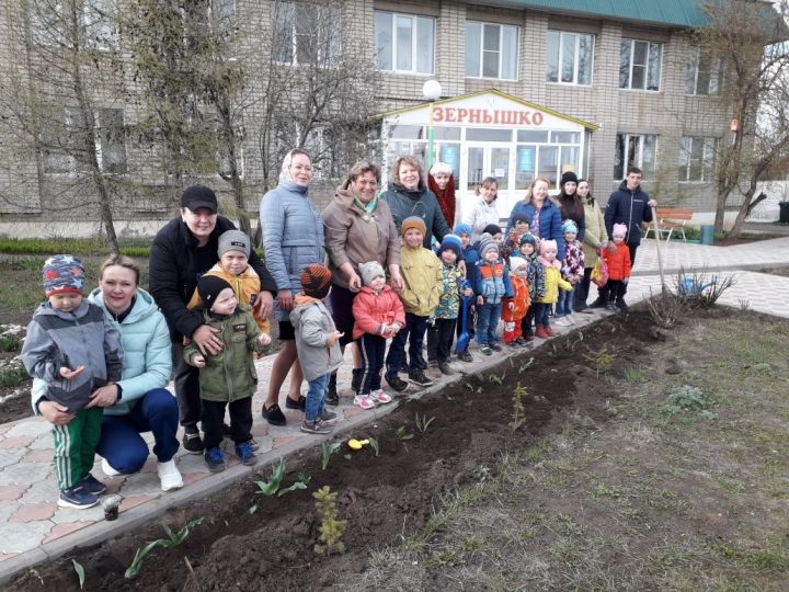 Воспитанники заинского детсада посадили тюльпаны вместе с родителями