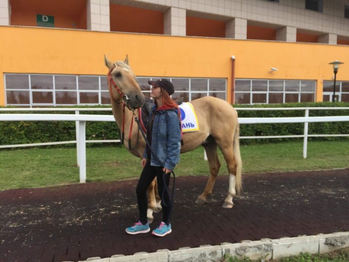 Заинские лошади татарской породы поборолись за лидерство на празднике «День коня»