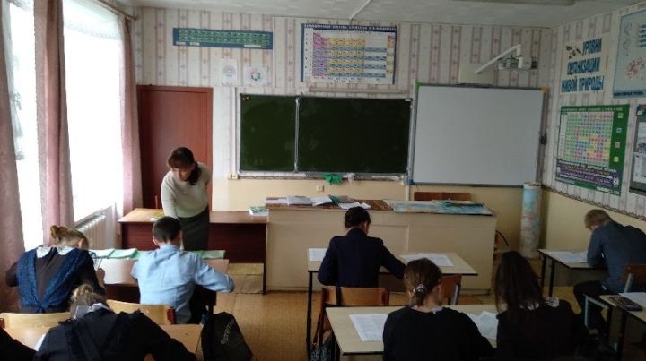 В сельских школах Заинского района прошли профориентационные мероприятия