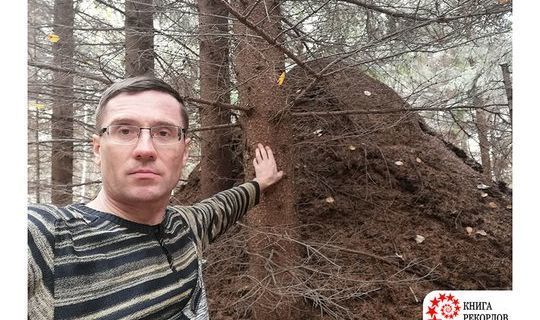 Самый большой муравейник в России обнаружил татарстанский журналист