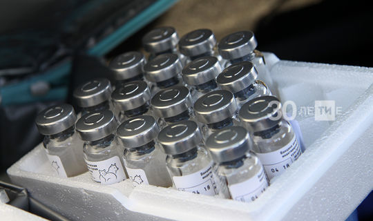В Татарстан поступила вторая партия вакцины против гриппа