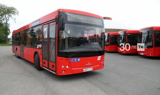 В Татарстане планируют возобновить проект по аресту пассажирских автобусов