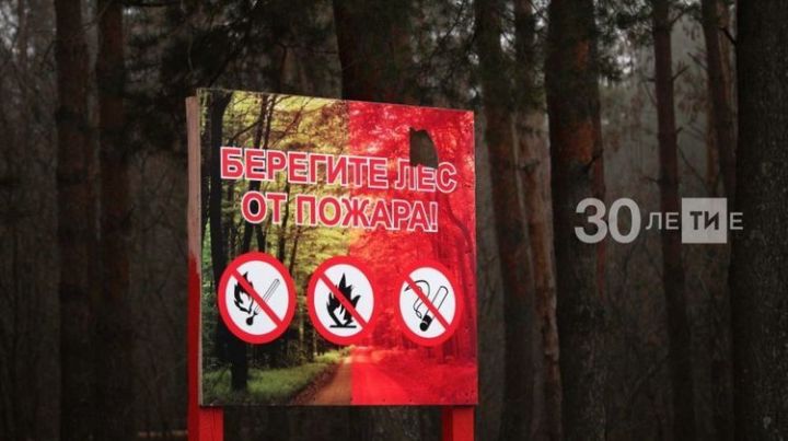 Благодаря нацпроекту «Экология» в Татарстане появятся две новые лесопожарные станции