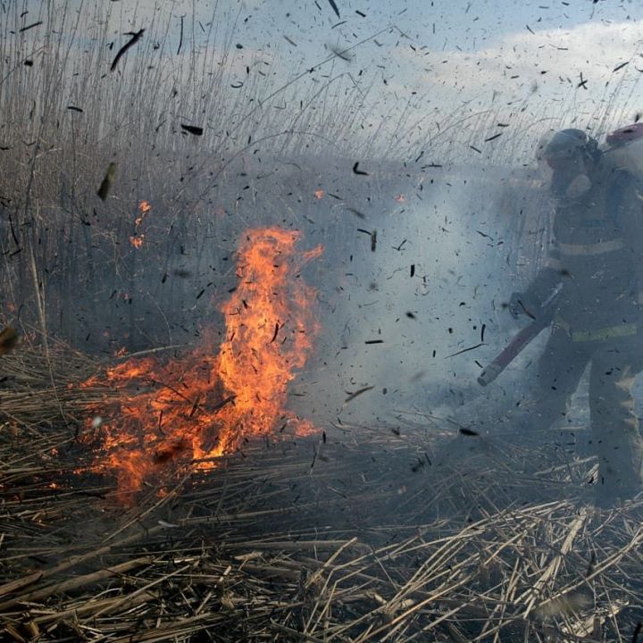 В Татарстане будет действовать особый противопожарный режим