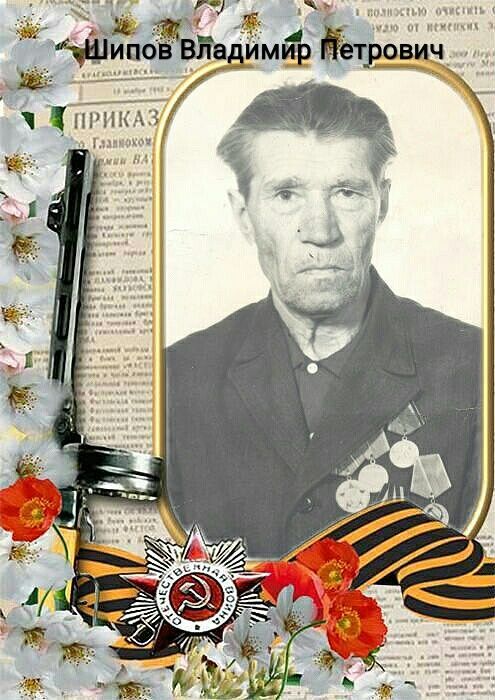 Владимир Петрович Шипов