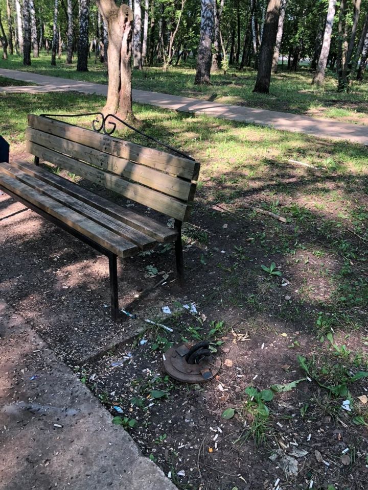 В заинской администрации прокомментировали случай вандализма в одном из парков