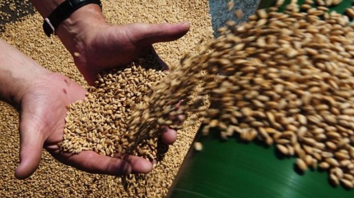 В Татарстане собран первый миллион тонн зерна нового урожая