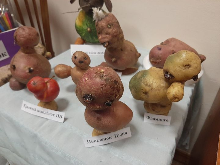 Из необычных "экземпляров" картофеля нового урожая жители Верхних Пинячей организовали выставку