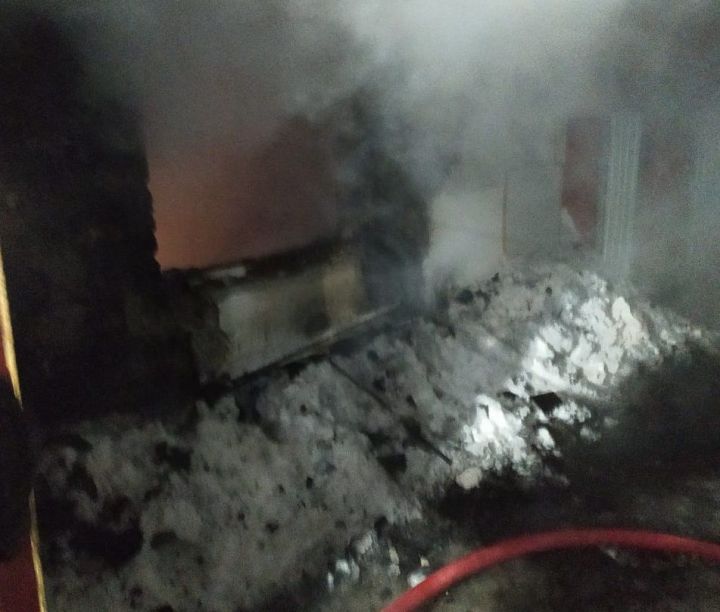 В Заинске во время пожара сгорела хозяйственная постройка