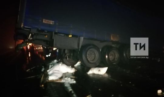 На трассе Н. Челны- Заинск погиб водитель фуры