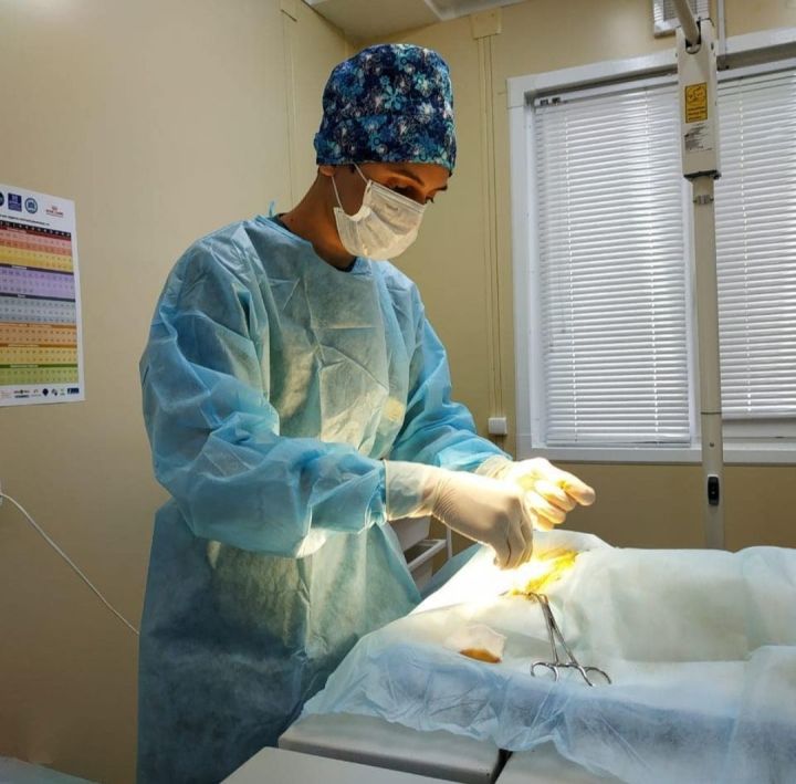 Молодой заинский ветеринар выполняет сложнейшие операции