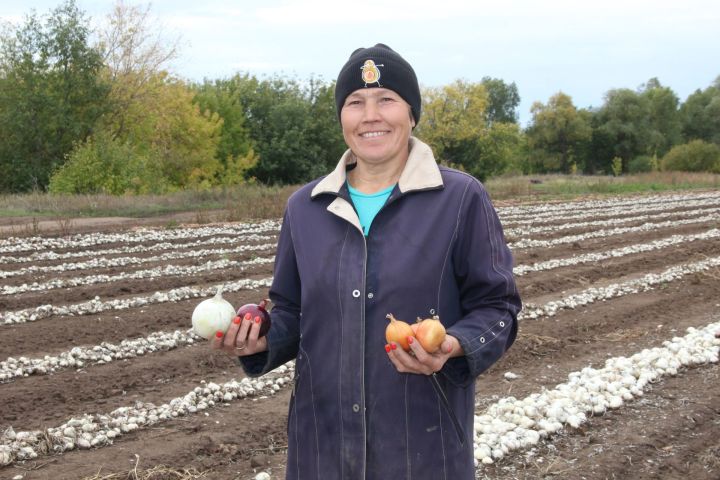 Фермер Ольга Шайгарданова: В этом году нас мучила засуха и насекомые, но мы отстояли урожай