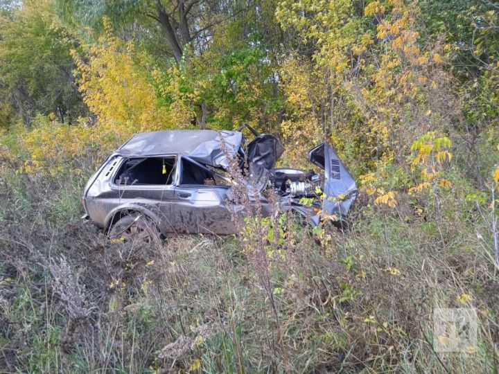 В Татарстане водитель не справился с управлением и вылетел с трассы в кювет