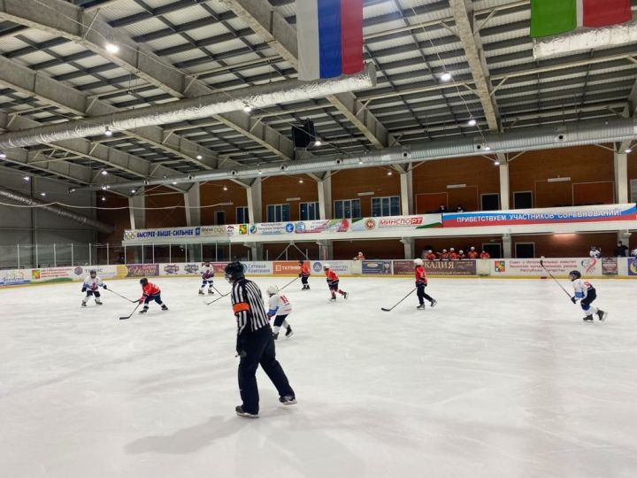 Заинские хоккеисты одержали победу в нескольких играх Первенства Татарстана