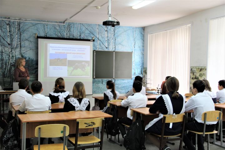 В агроклассах Заинского района прошли первые уроки с преподавателем казанского вуза
