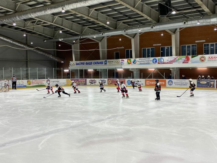 Заинская команда «Соколы» поборется за победу в соревновании юных хоккеистов «Золотая шайба»