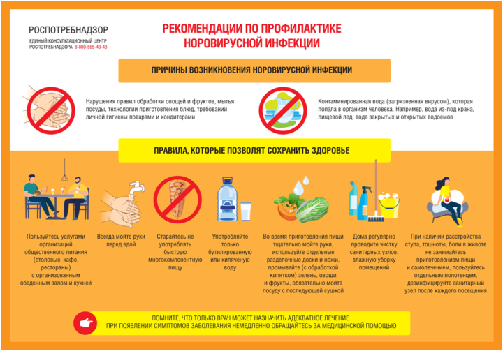 Рекомендации гражданам: профилактика норовирусной инфекции