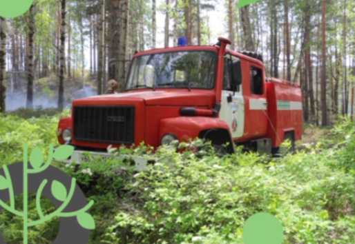 В Татарстане строят дороги для лесопожарных автомобилей