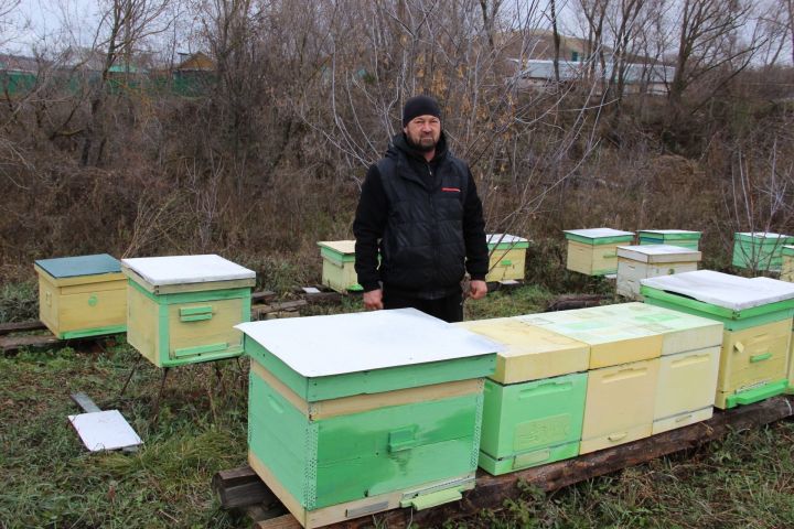 Пчеловод села Верхний Налим Заинского района продолжает дело прадеда