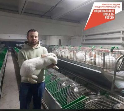Заинские фермеры – активные получатели грантовой поддержки сельхозпроизводителей