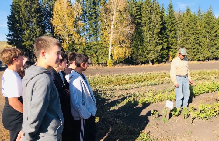 В Заинском лесопитомнике подросткам рассказали, как выращивают различные породы деревьев