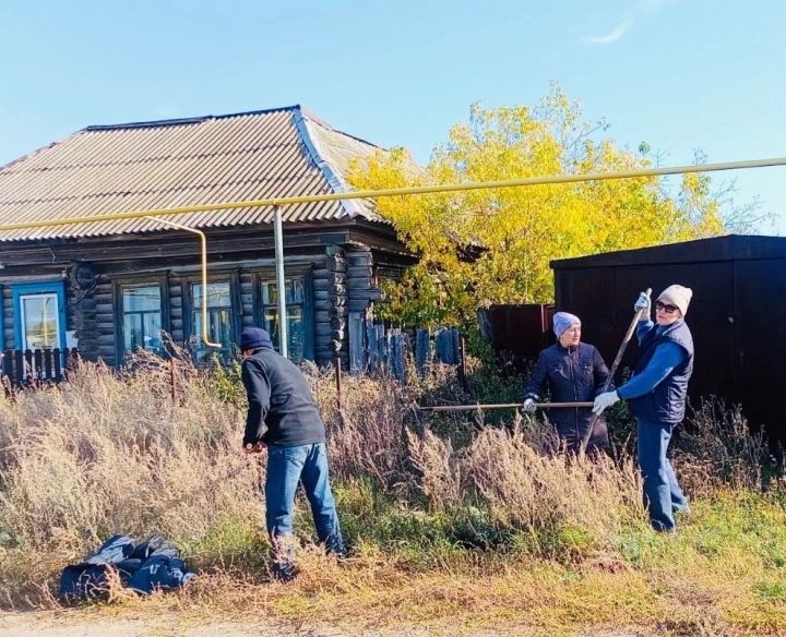 Специалисты молодежного центра убрали сухостой у заброшенного участка в Старом Заинске