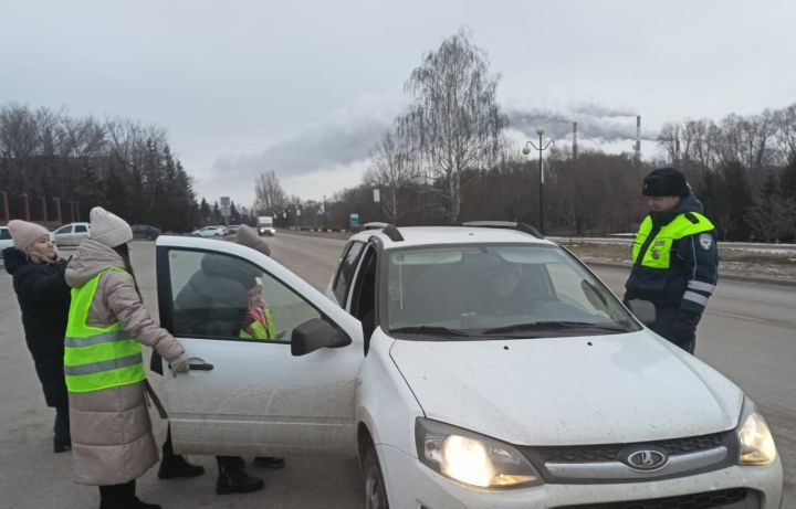 В Заинске дошколята напомнили водителям о ремнях безопасности