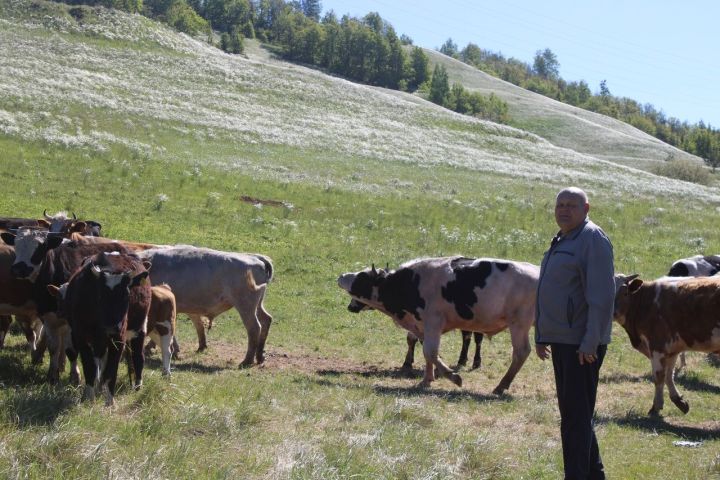 Зәйдә районның җитештерү потенциалын үстерүгә авыл хуҗалыгы лаеклы өлешен кертә