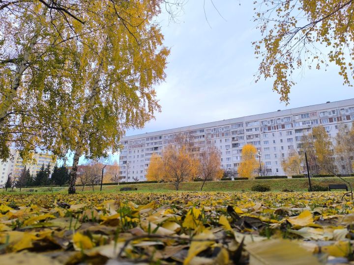 Народные приметы на 17 октября: Ерофей-лешегон предсказывает зиму