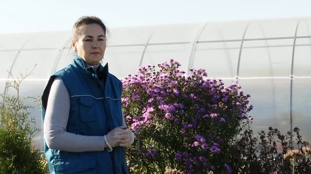 Что можно складывать в компостную яму