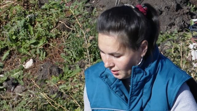 Садовод Ильнара Тимерханова поделилась секретами осеннего ухода за клубникой
