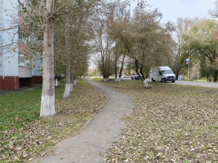 10 октября 2025: Обычаи и запреты дня Савватия Пчельника
