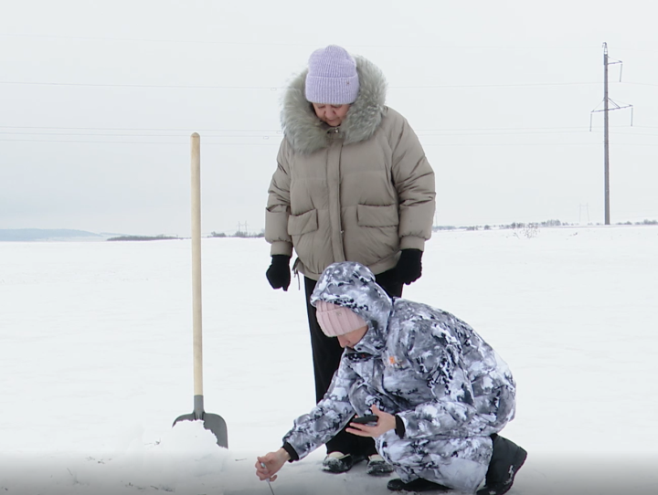 В Заинске взяли пробы озимых культур