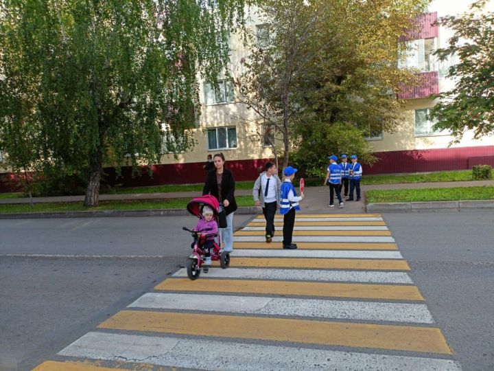 «Безопасный путь к знаниям: в Заинске стартовала акция «Безопасный переход»