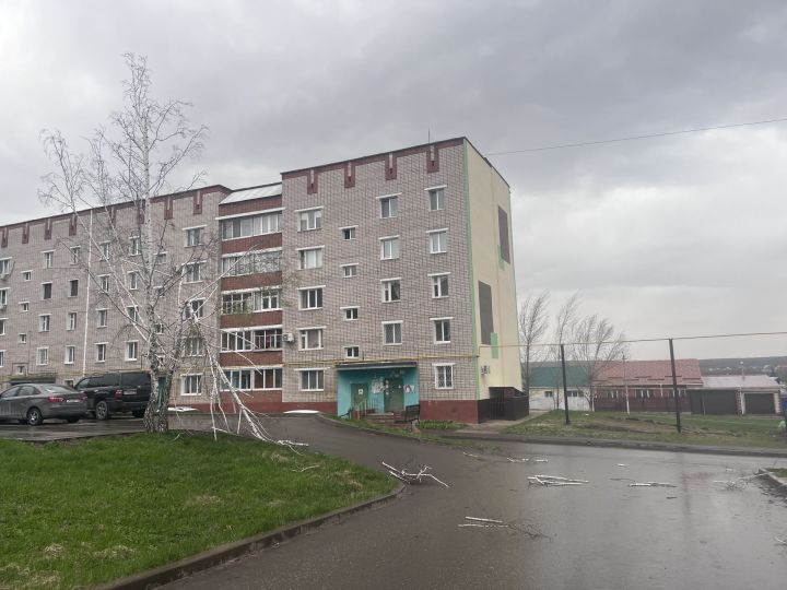 В Заинске сильный ветер повалил ветви дерева во дворе жилых домов