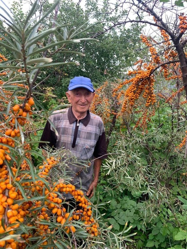 И в 90 лет аксакал Заинска Миннерифкат Шавалиев продолжает заботиться о родном крае