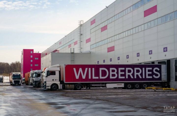 В Татарстане одобрили первый льготный займ для пострадавшего селлера Wildberries