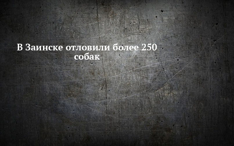 Честность и порядочность. Пожар легче предупредить чем потушить. Решительность цитаты. Пожар легче предупредить чем потушить картинки.