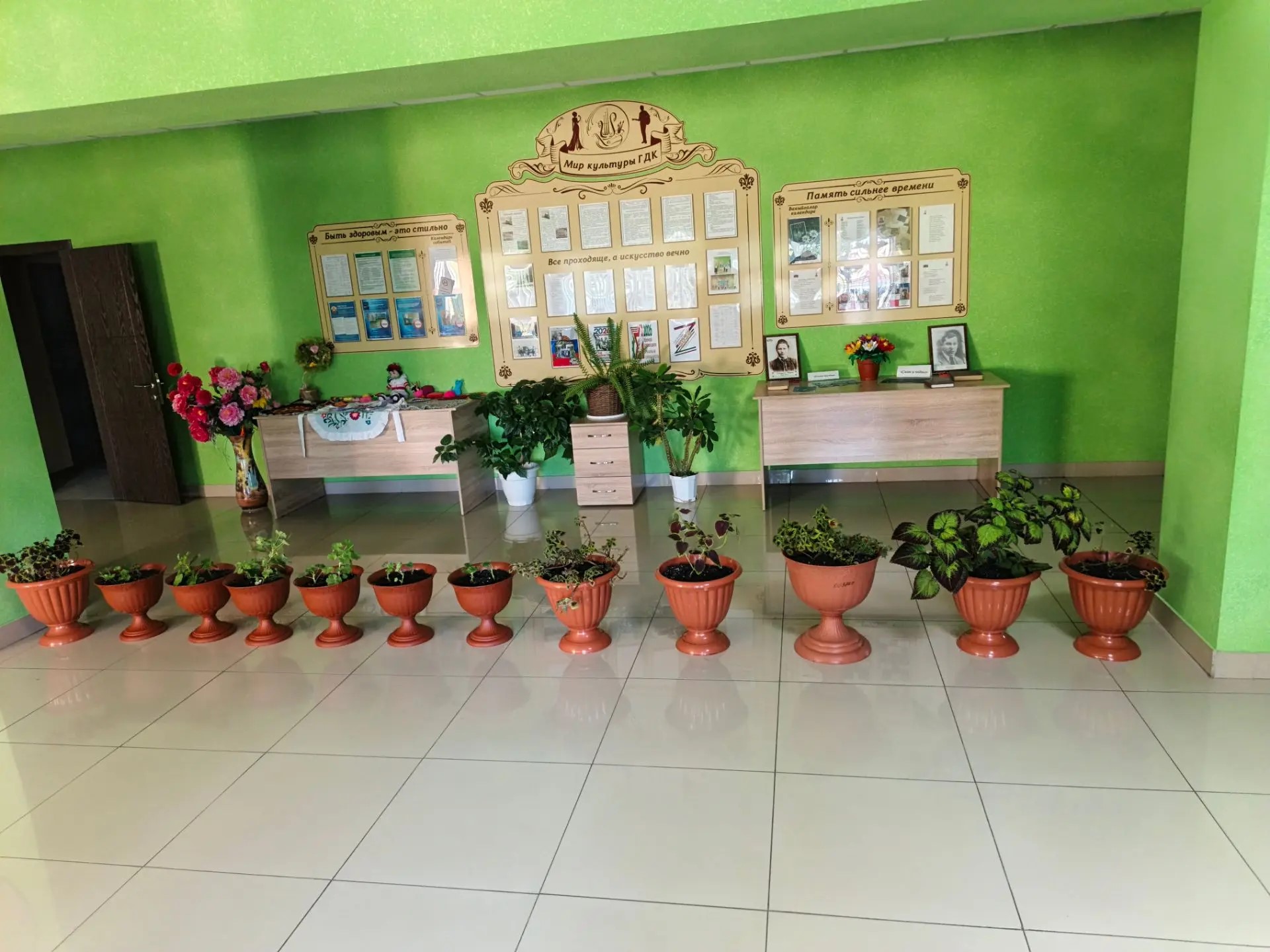 фото мәдәният йортыннан, урамдагы гөлләр көзге салкыннар башланганчы бинага кертелде