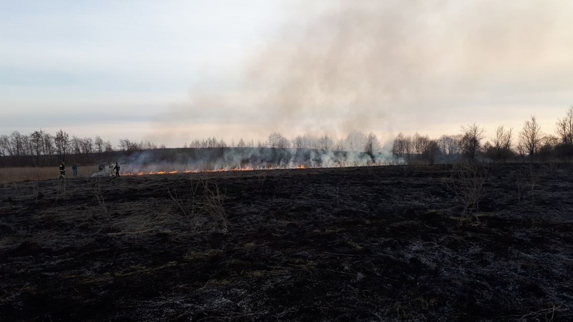 Возле населенных пунктов Заинского района зафиксированы случаи горения сухой травы