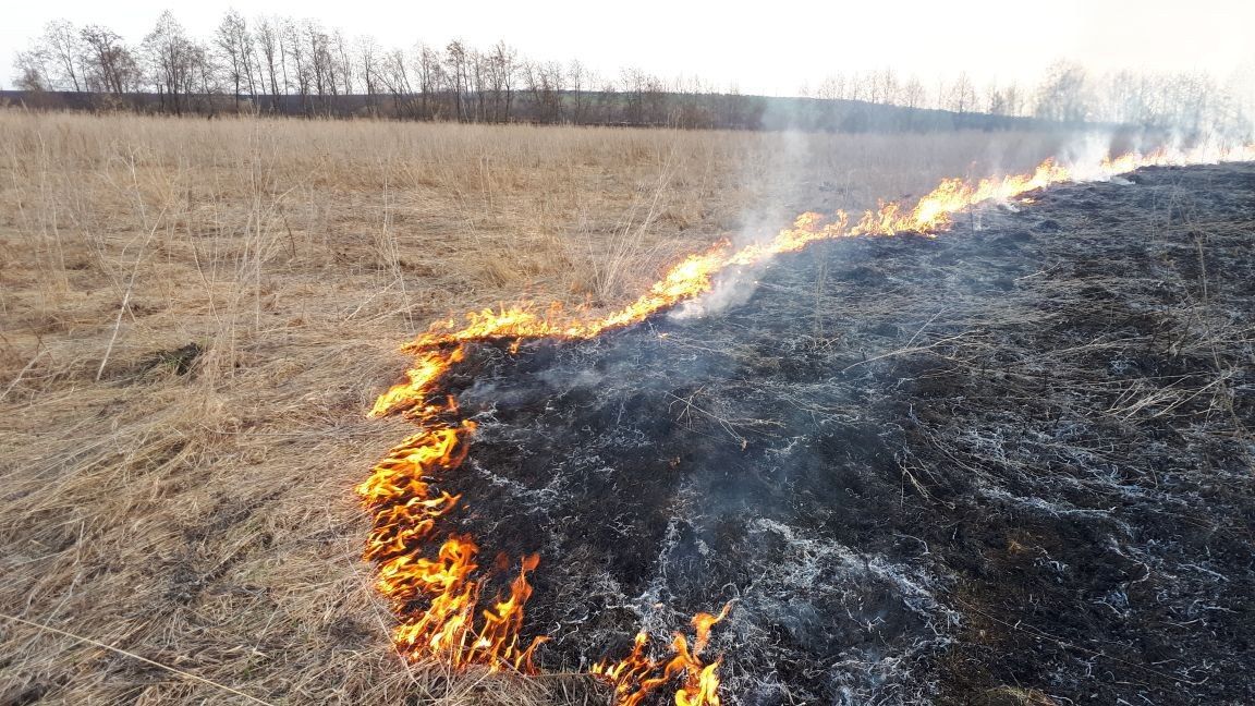 Возле населенных пунктов Заинского района зафиксированы случаи горения сухой травы