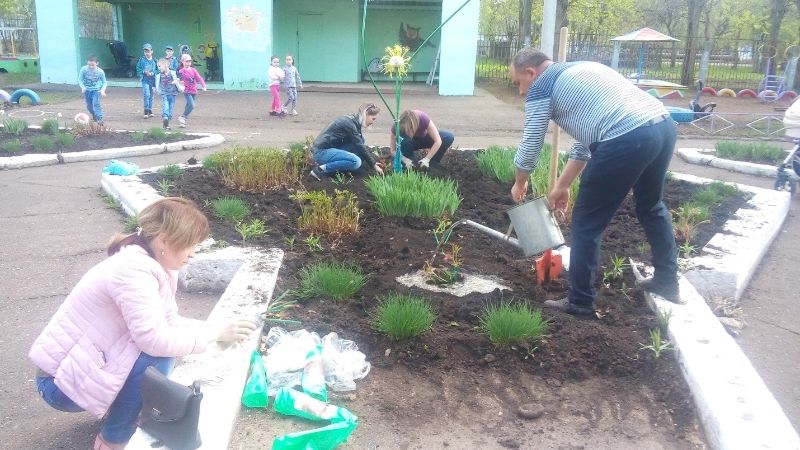 Картинка аллея выпускников доу